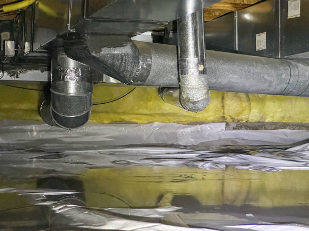 Best Local water damage restoration  in Ely, IA
