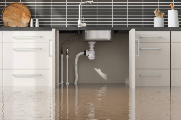 Best Flood restoration services  in Ely, IA
